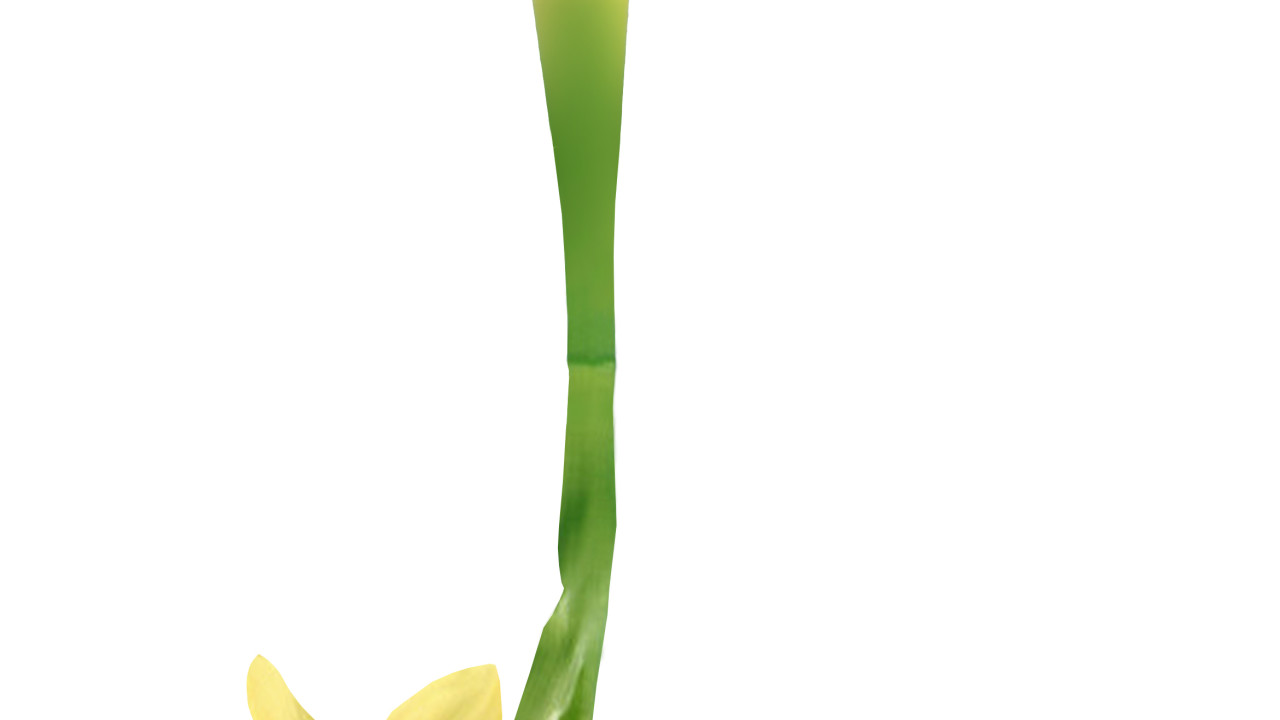 BÜFA Composites Benelux B.V. Valkenswaard afbeelding 6